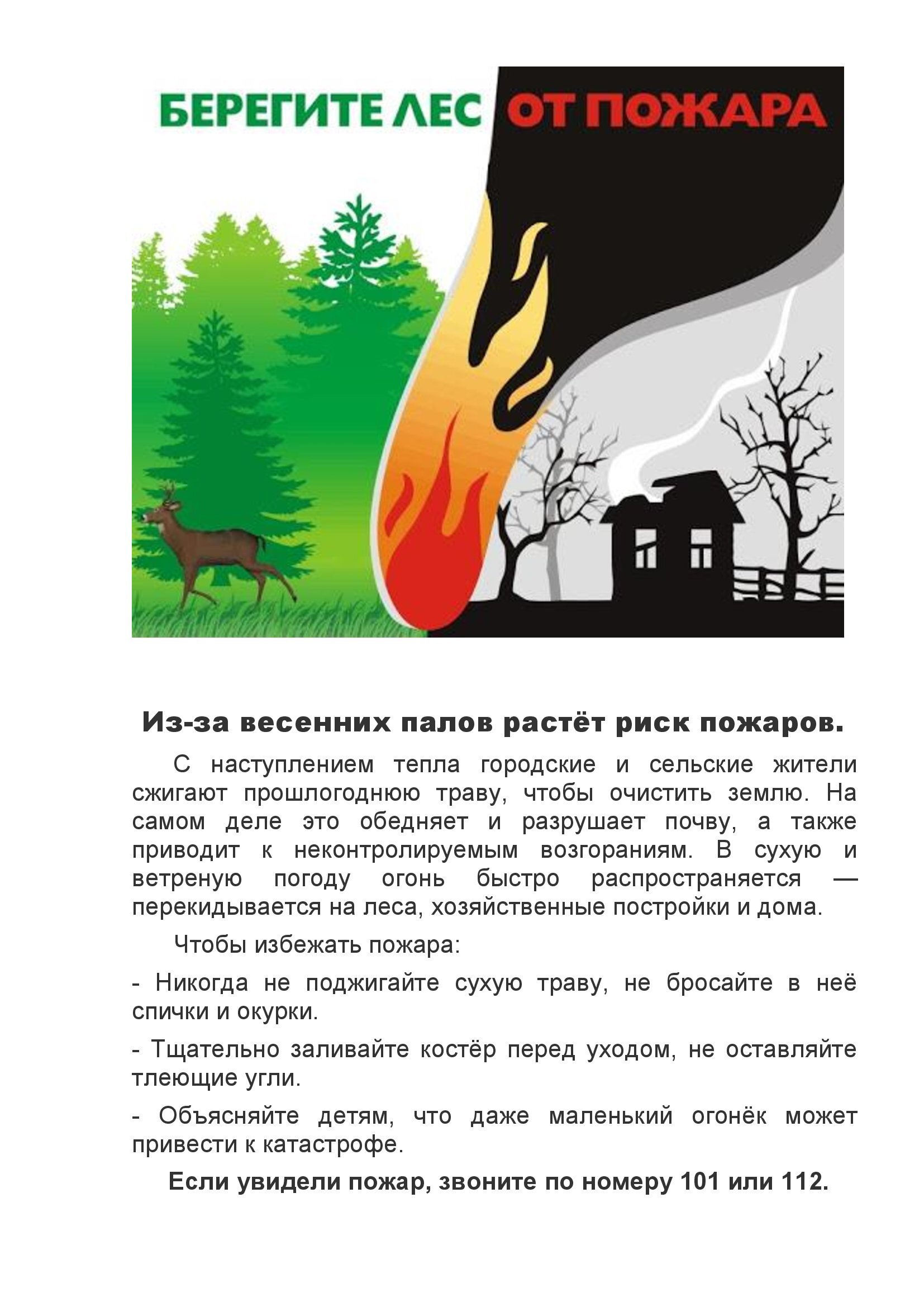 Изображения.