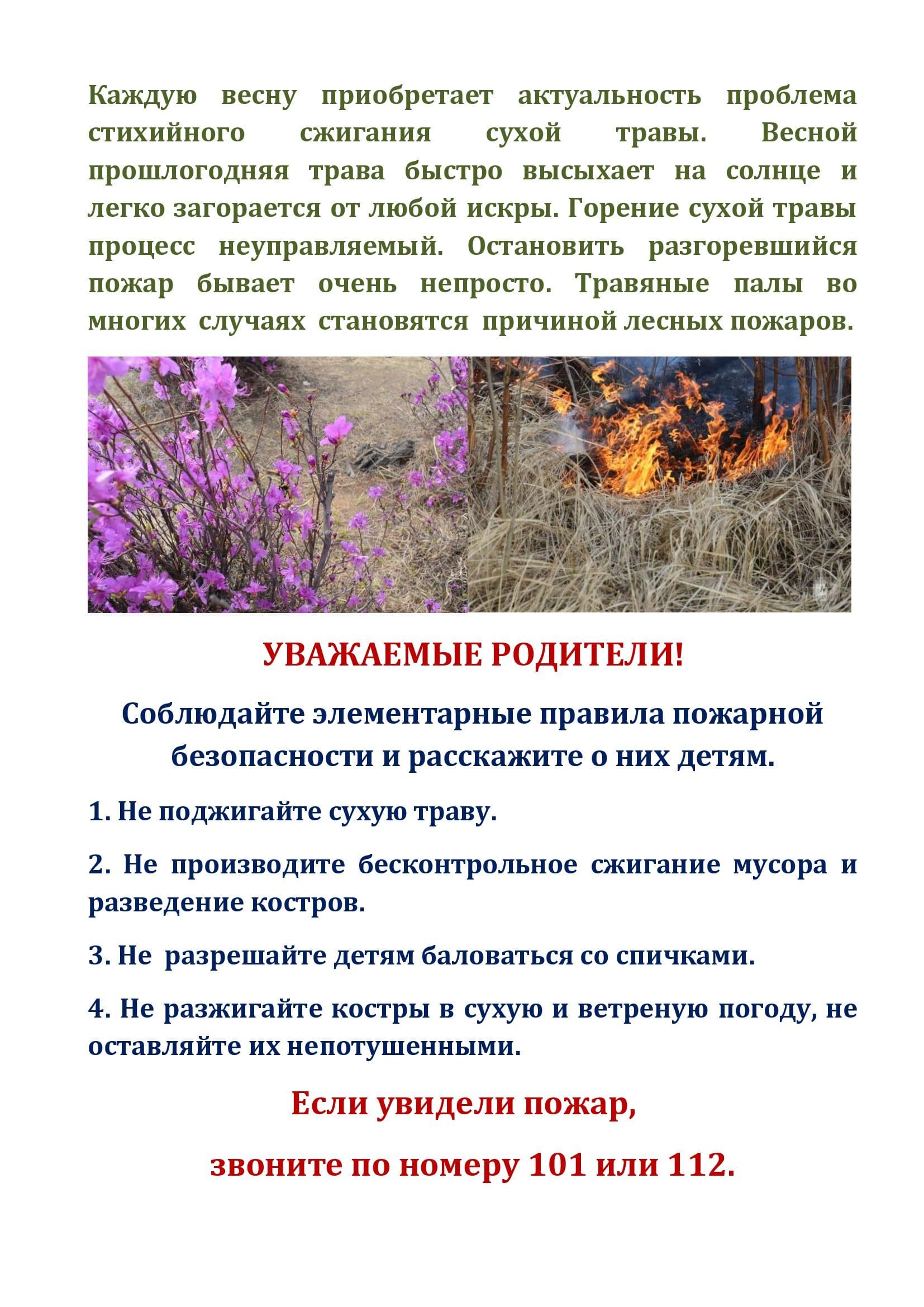 Изображения.